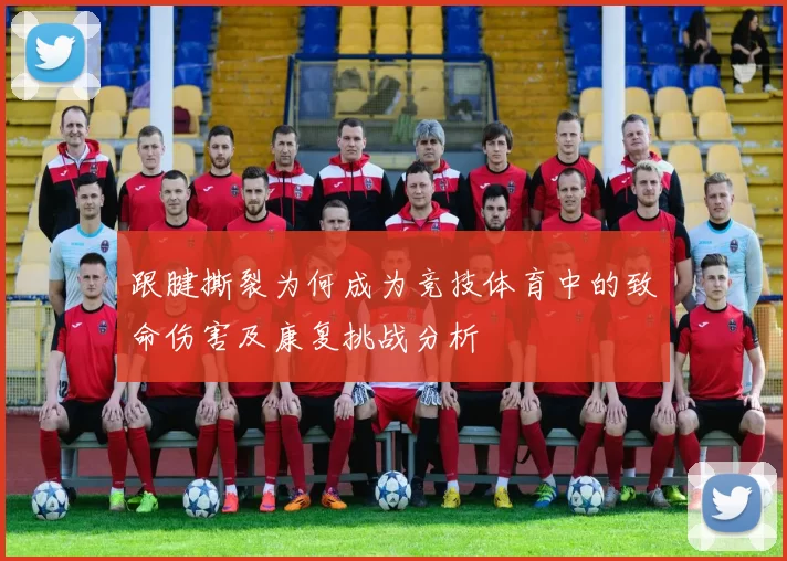 跟腱撕裂为何成为竞技体育中的致命伤害及康复挑战分析