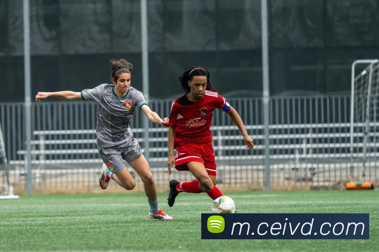KAIYUNSPORTS官网品牌故事